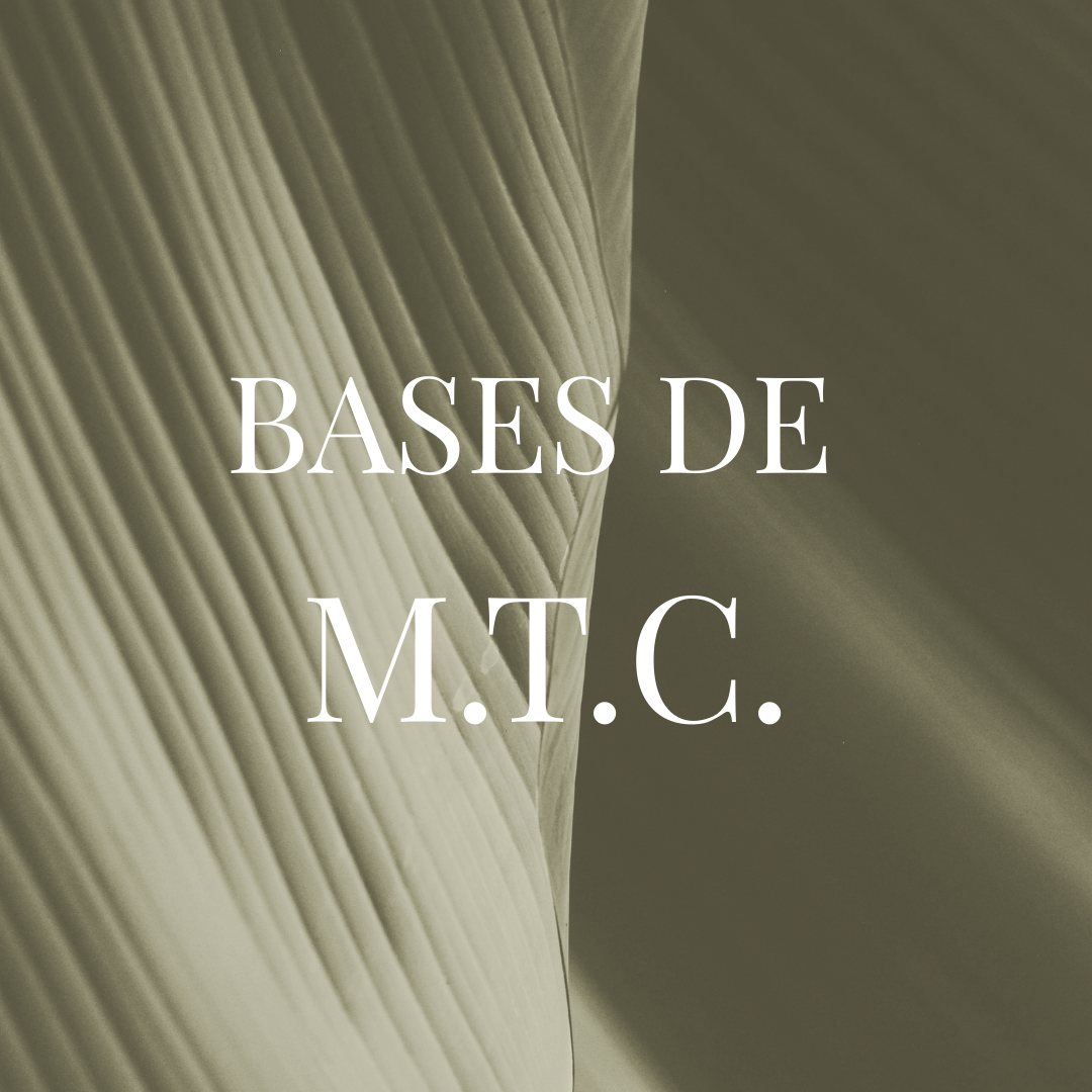 BASES DE MTC