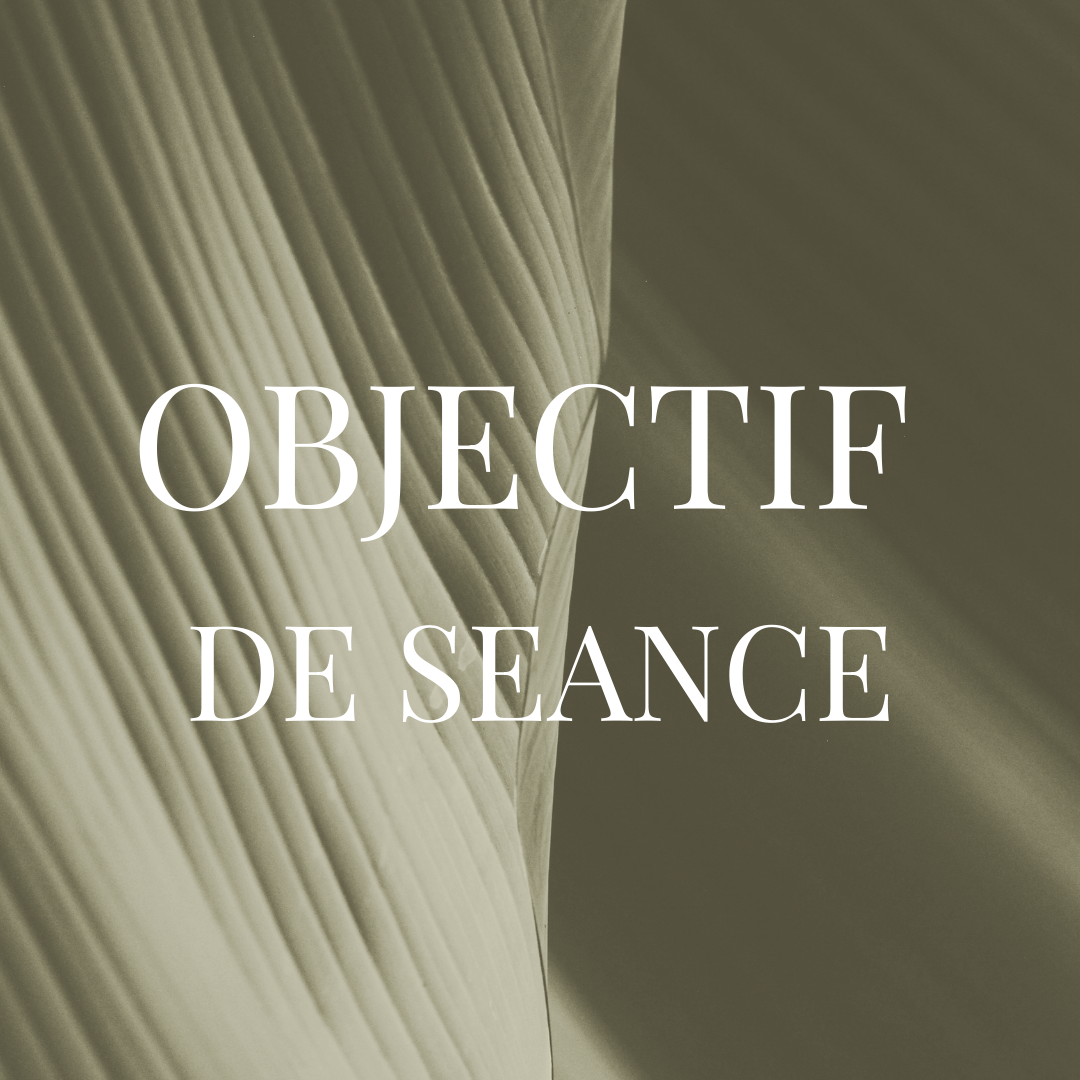 OBJECTIF DE SÉANCE